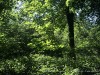 210531_5626dxo1