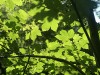 210531_5633dxo1