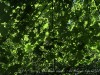 210531_5636dxo1