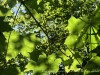 210531_5643dxo1