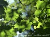 210531_5644dxo1