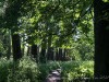 210531_5662dxo1