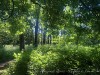 210531_5666dxo1