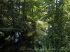 210531_5668dxo1