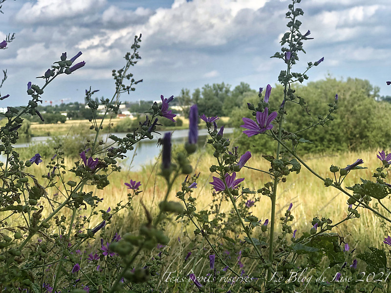 210701_6051dxo1