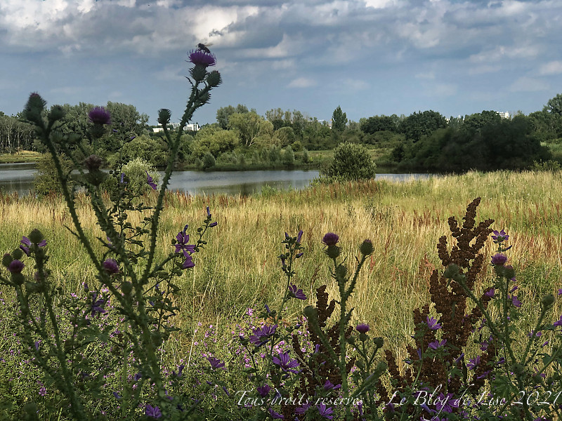 210701_6056dxo1