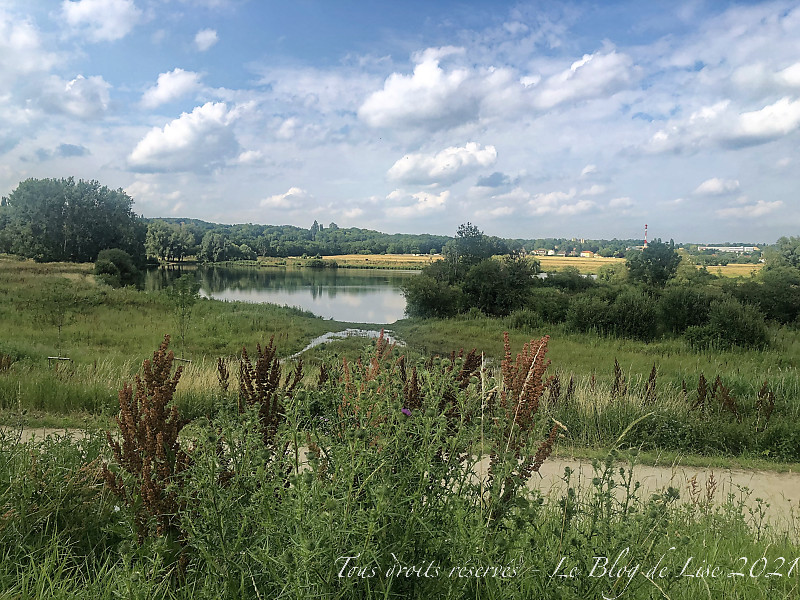 210701_6059dxo1