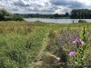 210701_6036dxo1