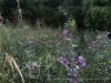 210701_6041dxo1