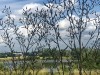 210701_6046dxo1
