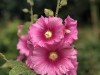 210702_6070dxo1