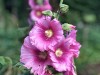 210702_6071dxo1