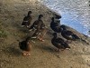210706_6093dxo1