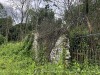 210710_6103dxo1