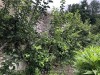 210710_6122dxo1