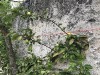 210710_6129dxo1