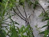 210710_6143dxo1