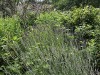 210710_6105dxo1