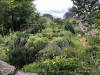 210710_6173dxo2