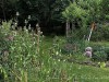 210710_6175dxo2