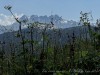 210722_6234dxo2