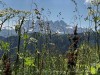 210722_6237dxo2