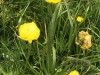 IMG_6281dxo2