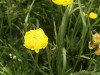IMG_6282dxo2