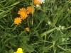 IMG_6283dxo2