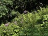 210727_6359dxo