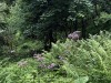 210727_6367dxo