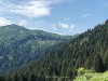 210730_6437dxo