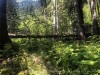 210730_6440dxo