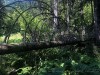 210730_6444dxo