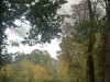 Photo211102_6952_3PL5