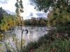 Photo211102_6961_3PL5