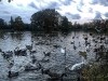 Photo211102_6962_3PL5