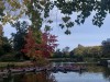 Photo211102_6965_3PL5