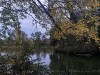 Photo211102_6968_3PL5
