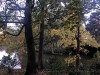 Photo211102_6969_3PL5