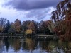 Photo211102_6970_3PL5