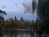 Photo211102_6974_3PL5