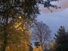 Photo211102_6979_3PL5