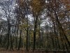Photo211125_7111dxo