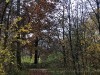 Photo211125_7121dxo