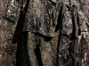 Photo220108_7500dxo1