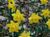 DSC00308dxo1