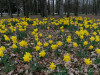 DSC00309dxo1