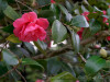 DSC00319dxo1