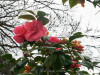 DSC00321dxo1